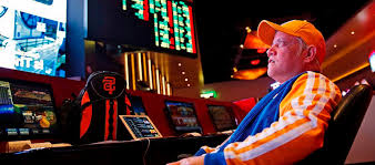 Vulkan Deluxe Casino